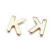 304 Stainless Steel Charms STAS-P141-G-M-2