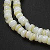 Dyed Natural Freshwater Shell Beads Strands X1-BSHE-G039-07N-3