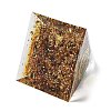 Orgonite Pyramid Resin Energy Generators DJEW-D013-04C-3