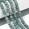 Natural Jadeite Beads Strands G-N353-07B-01-1