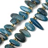 Natural Apatite Beads Strands GG-CBADF20-A08-1