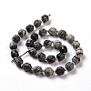 Natural Black Silk Stone/Netstone Beads Strands G-G990-F15-3