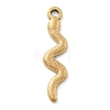 304 Stainless Steel Pendants STAS-I327-03G-02-1
