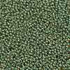 TOHO Round Seed Beads X-SEED-TR11-0380-2