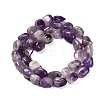 Natural Amethyst Beads Strands G-P568-C03-01-3