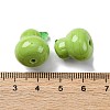 Fruit Series Handmade Lampwork Beads LS-LAMP-R003-04C-4