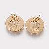 304 Stainless Steel Charms STAS-Q201-T445-6G-2