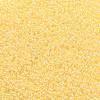 TOHO Round Seed Beads SEED-JPTR11-0902-2