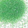 120G Glass Bugle Beads SEED-PA0001-20-1