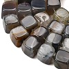 Natural Agate Beads Strands G-F820-I01-01-4