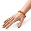Natural Amber Chip Beads Stretch Bracelet for Kid BJEW-JB06819-01-5