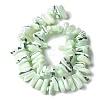 Dyed Natural Trochus Shell Beads Strands SSHEL-C013-09I-2