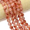 Natural Malaysia Jade Beads Strands G-B165-C01-14mm-1