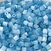 Glass Seed Beads X1-SEED-H002-D-A811-3
