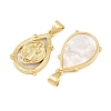 Brass Shell Pendants CU-CBA9482-05G-05-2