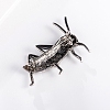 Grasshopper Alloy Rhinestone Brooches PW-WG09710-01-4