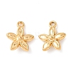 304 Stainless Steel Charms STAS-K303-08A-G-1