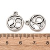 Tibetan Style Alloy Pendants FIND-C094-31A-AS-3