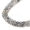 Natural Rainbow Moonstone Beads Strands G-R475-025D-3