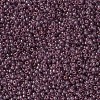 MIYUKI Round Rocailles Beads SEED-G007-RR2448-2