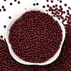 8/0 Baking Paint Glass Seed Beads SEED-M012-02A-44-2