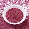 MIYUKI Delica Beads SEED-JP0008-DB1841-2