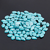 Synthetic Turquoise Cabochons TURQ-AR0001-11-4