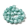 Natural Glass Beads Strands G-I247-31F-4