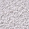 Glass Seed Beads SEED-A010-3mm-41-2