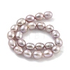 Natural Cultured Freshwater Pearl Beads Strands PEAR-P062-08J-3