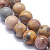 Natural Venus Jasper Beads Strands G-K293-F01-B-3