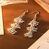 Bohemian Alloy & Iron Tassel Dangle Earrings WG25E48-01-1