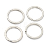 304 Stainless Steel Keychain Clasp Findings STAS-B012-02F-P-1