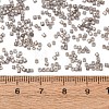 Glass Seed Beads GL-CBA5413-02I-3
