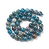 Natural Apatite Beads X-G-E481-05-8mm-01-3