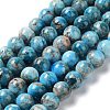 Natural Apatite Beads Strands G-G858-01C-1