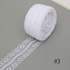 10M Polyester Lace Ribbon HULI-PW0002-059C-1