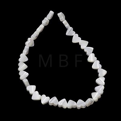 Natural Trochid Shell/Trochus Shell Beads Strands SH-CBA2978-10-1