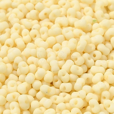 Glass Frosted Seed Beads SEED-K009-05B-08-1