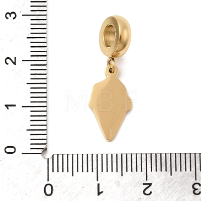 304 Stainless Steel Enamel European Dangle Charms STAS-D153-05C-G-1