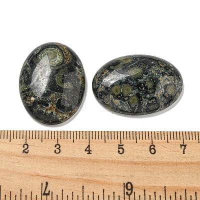 Natural Kambaba Jasper Cabochons G-C115-01B-22-1