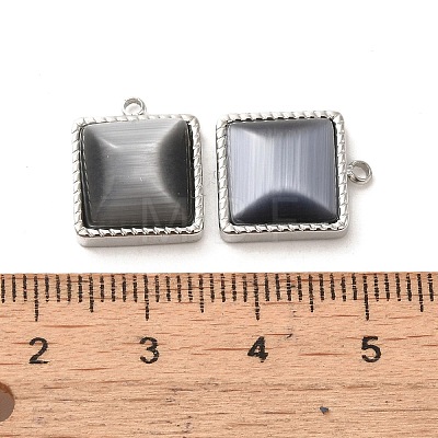 304 Stainless Steel Charms STAS-L022-075P-02-1