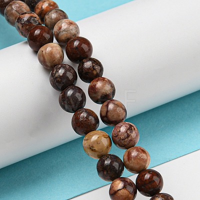 Natural Gemstone Beads Strands G-R494-A22-02-1