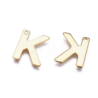 304 Stainless Steel Charms STAS-P141-G-M-1