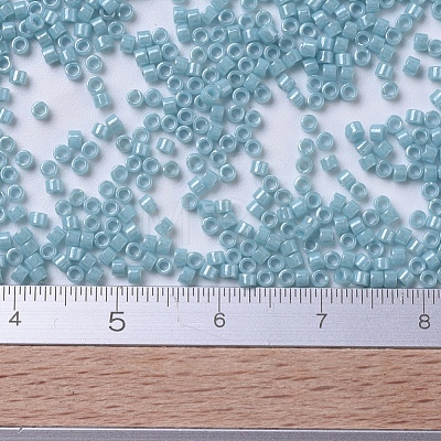 MIYUKI Delica Beads SEED-JP0008-DB0217-1
