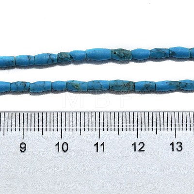 Dyed Synthetic Turquoise Beads Strands G-D356-A01-02-1