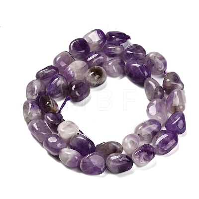 Natural Amethyst Beads Strands G-P568-C03-01-1