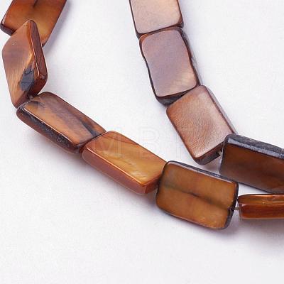 Natural Freshwater Shell Beads Strands BSHE-L036-25-1