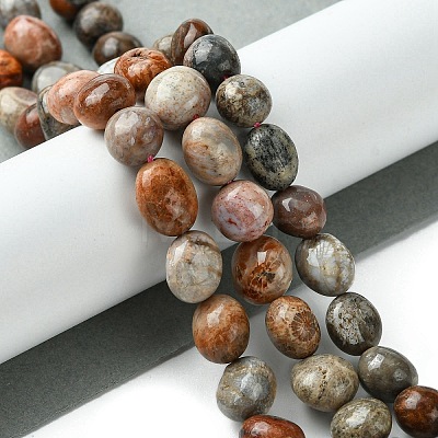 Natural Fossil Coral Beads Strands G-G117-A01-02-1