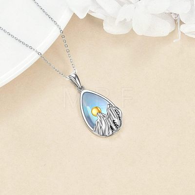 Alloy Glass Teardrop with Snow Mountain Pendant Necklaces WG78F70-01-1